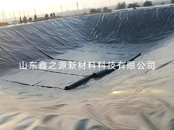 選擇防滲土工膜進行小龍蝦養(yǎng)殖有哪些要點技巧？