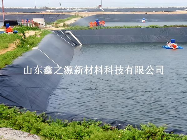 魚塘防滲膜存放技巧：輕松保鮮，以備不時之需