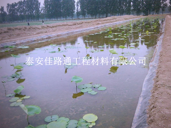 養(yǎng)殖防滲膜延伸率不足？根源在這些地方