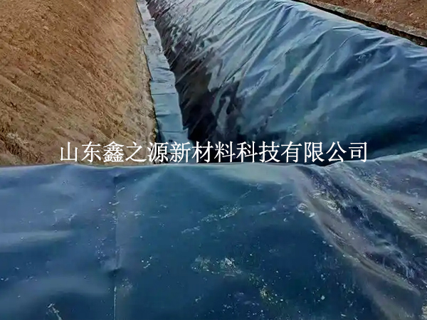 魚塘防滲膜焊縫漏了？這些檢測(cè)技巧一查一個(gè)準(zhǔn)